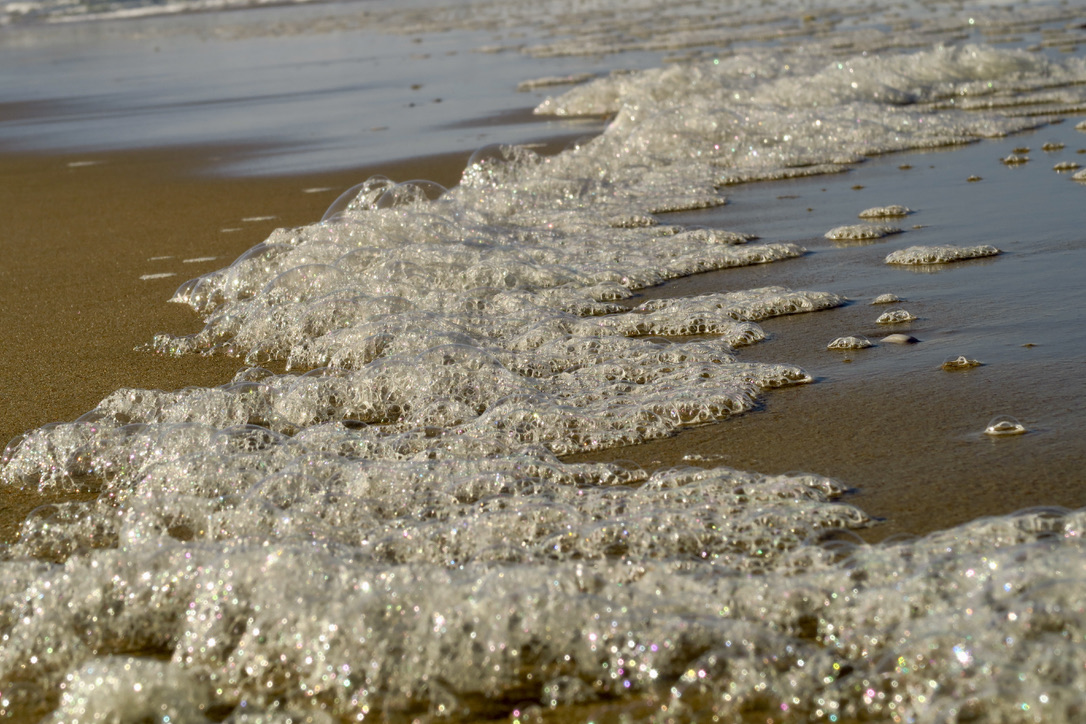 Patterns of the Ocean